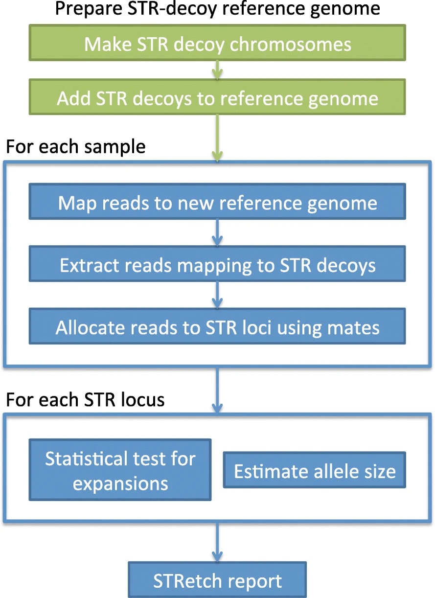 STRetch: detecting and discovering pathogenic short tandem repeat expansions